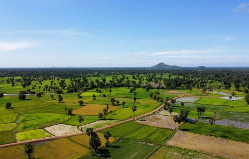 tithsamnang-khorn-wVQI_TVrZN4-unsplash